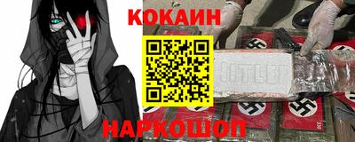 шишки Новодвинск