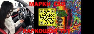 шишки Новодвинск