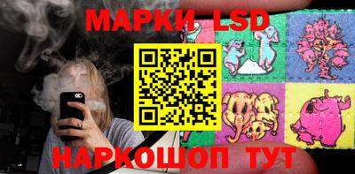 шишки Новодвинск