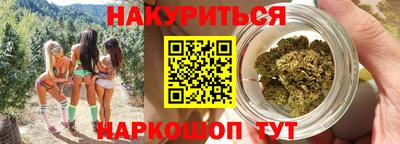 шишки Новодвинск