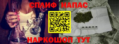 шишки Новодвинск