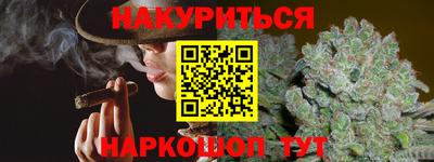 шишки Новодвинск