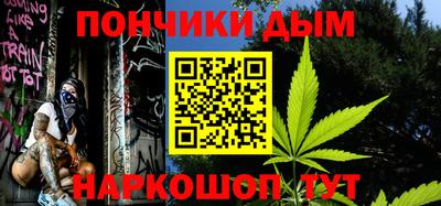 шишки Новодвинск