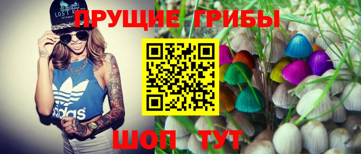 Галлюциногенные грибы Magic Shrooms Ртищево